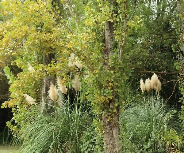 Διαμέρισμα Domaine D'ella Jourre